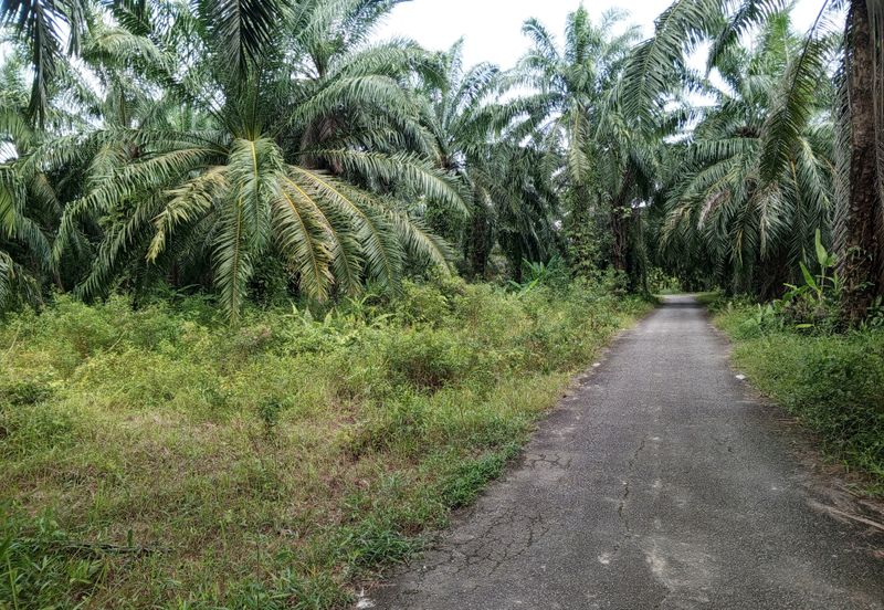 Tanah Lot Banglo yang luas di Pelabohan Dagang Berdekatan KLIA