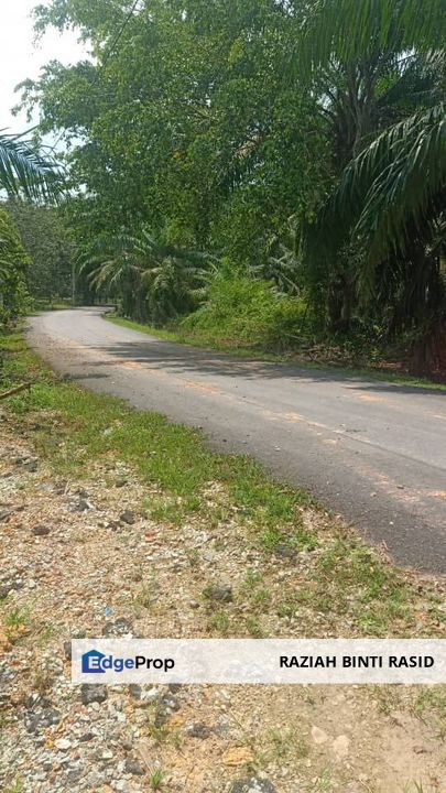 Tanah Pertanian Geran Individu di Pasir Panjang, Port Dickson, Negeri Sembilan, Port Dickson