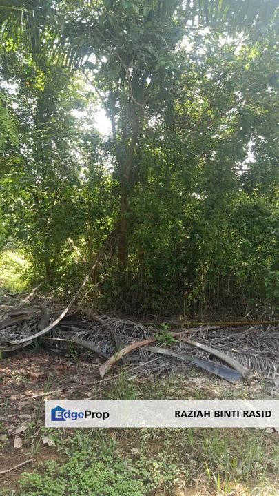 Tanah Pertanian Geran Individu di Pasir Panjang, Port Dickson, Negeri Sembilan, Port Dickson