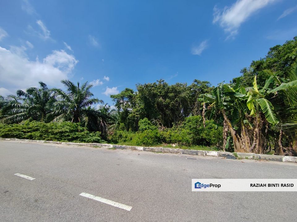 Non Bumi Agriculture Land at Pasir Panjang, PORT DICKSON, Negeri Sembilan, Port Dickson
