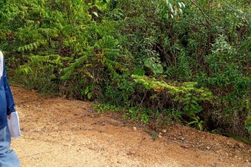 Jalan Sentosa 1, Taman Sentosa