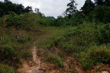 Jalan Sentosa 1, Taman Sentosa