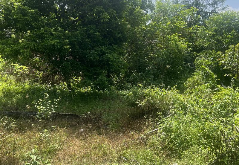 3.8 Ekar tanah @ Gelang, Pertang, Jelebu N.9 