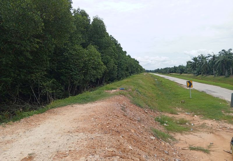 20Ekar Ari Land dipesisir Muara Pantai Kelanang.