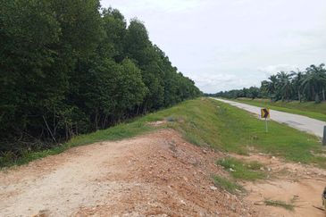20Ekar Ari Land dipesisir Muara Pantai Kelanang.
