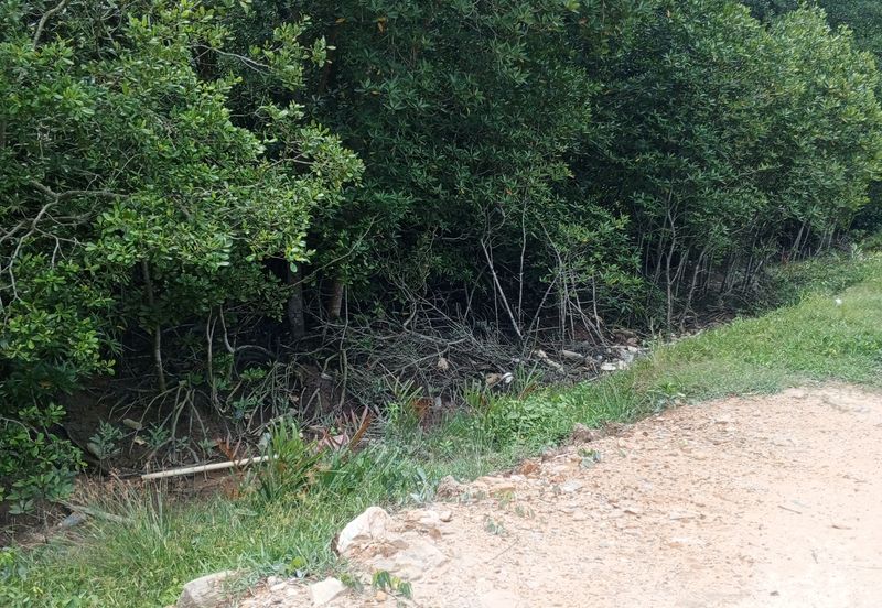 20Ekar Ari Land dipesisir Muara Pantai Kelanang.