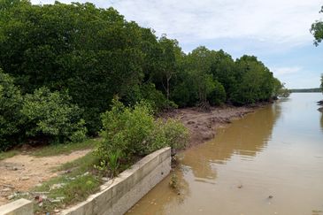 20Ekar Ari Land dipesisir Muara Pantai Kelanang.