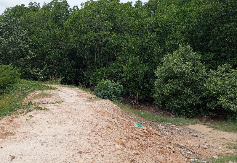 20Ekar Ari Land dipesisir Muara Pantai Kelanang.