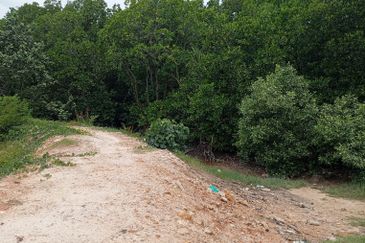 20Ekar Ari Land dipesisir Muara Pantai Kelanang.