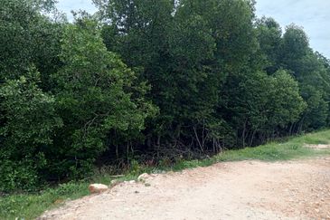 20Ekar Ari Land dipesisir Muara Pantai Kelanang.