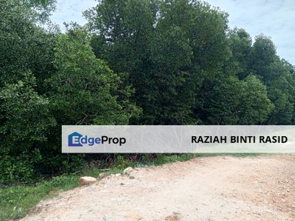 20Ekar Ari Land dipesisir Muara Pantai Kelanang., Selangor, Banting