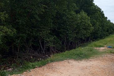 20Ekar Ari Land dipesisir Muara Pantai Kelanang.