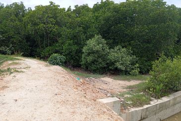 20Ekar Ari Land dipesisir Muara Pantai Kelanang.