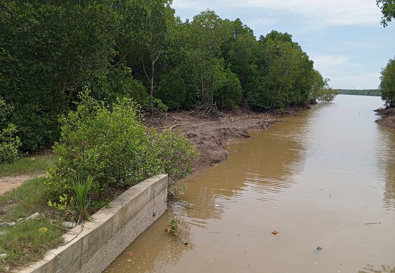 20Ekar Ari Land dipesisir Muara Pantai Kelanang.