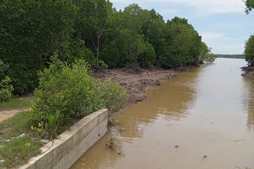 20Ekar Ari Land dipesisir Muara Pantai Kelanang.