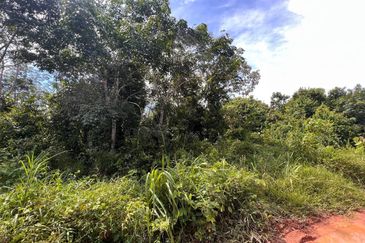 Tanah Pertanian tepi jalan kg, di Batu Kikir, N9