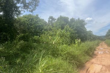 Tanah Pertanian tepi jalan kg, di Batu Kikir, N9