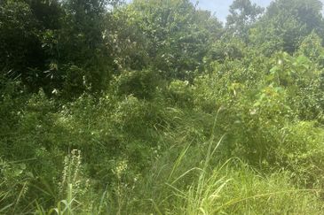 Tanah Pertanian tepi jalan kg, di Batu Kikir, N9