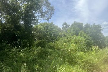 Tanah Pertanian tepi jalan kg, di Batu Kikir, N9