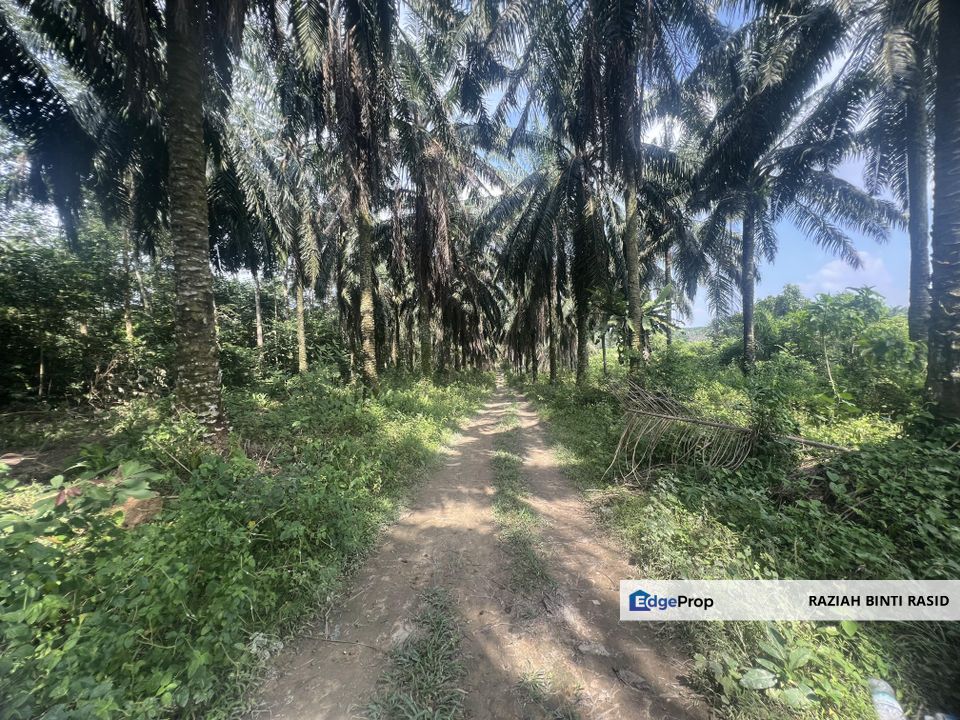 Tanah Pertanian @Sg Bioh Lenggeng,N9Geran Individu, Negeri Sembilan, Seremban