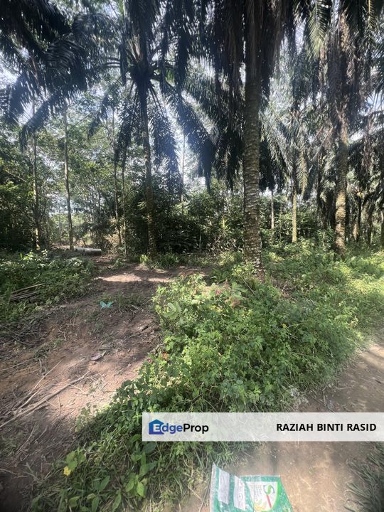 Tanah Pertanian @Sg Bioh Lenggeng,N9Geran Individu, Negeri Sembilan, Seremban