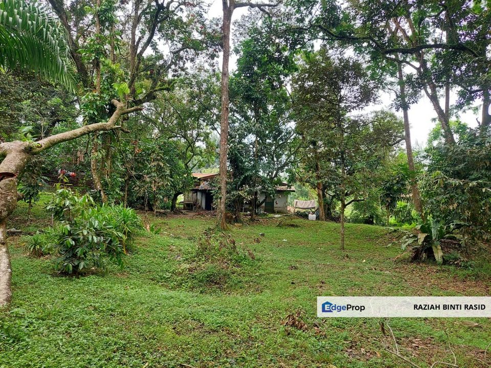 Tanah Agri Tepi Jalan Utama di Kg Labu Hilir, N.9, Negeri Sembilan, Nilai