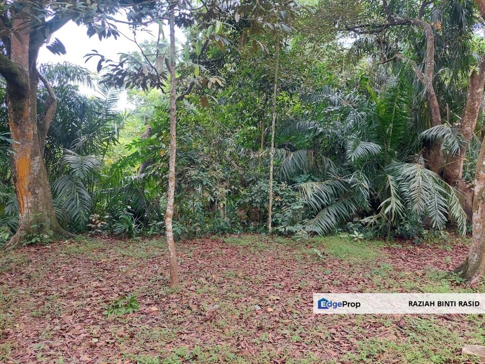 Tanah Agri Tepi Jalan Utama di Kg Labu Hilir, N.9, Negeri Sembilan, Nilai