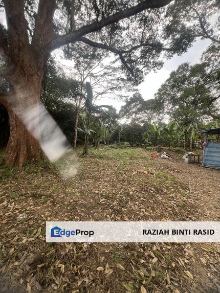 Tanah Agriculture Tepi Jln Utama H.Langat. , Selangor, Hulu Langat