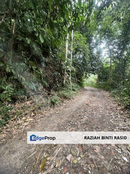 Tanah Pertanian di Paya Lebar. Geran Individu,  , Selangor, Hulu Langat