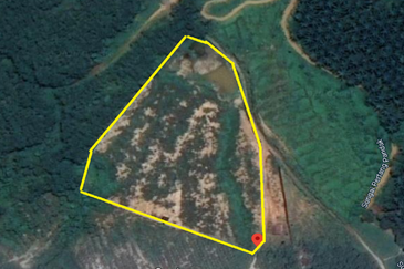 Durian Plantation, Karak, Pahang For Sale (6 Acres) with Durian Trees