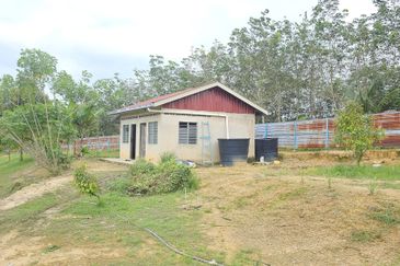 Durian Plantation, Karak, Pahang For Sale (6 Acres) with Durian Trees