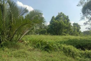 Pulau Indah Industrial Area