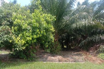 Pulau Indah Industrial Area