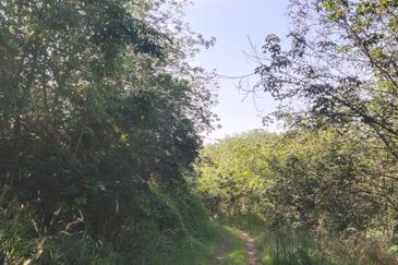 Tanah Untuk Dijual Kota, Rembau