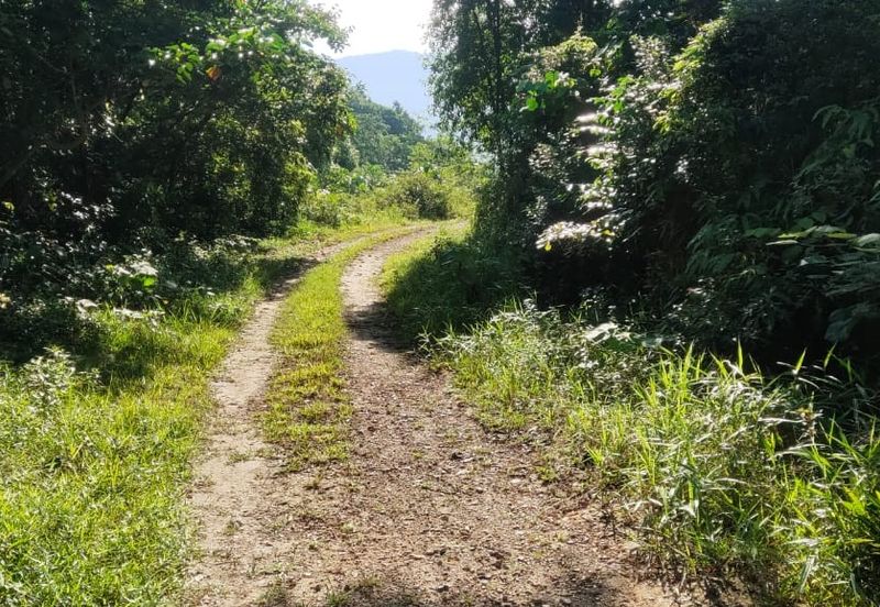 Tanah Untuk Dijual Kota, Rembau