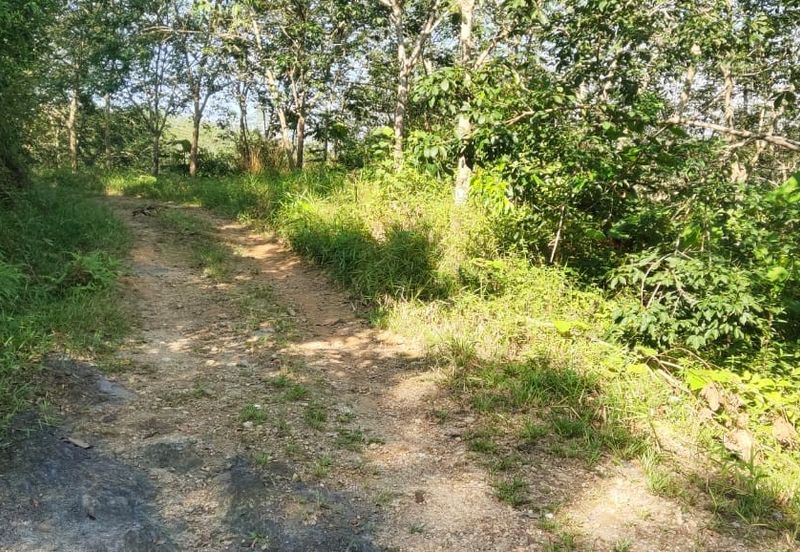 Tanah Untuk Dijual Kota, Rembau