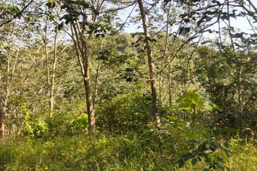 Tanah Untuk Dijual Kota, Rembau