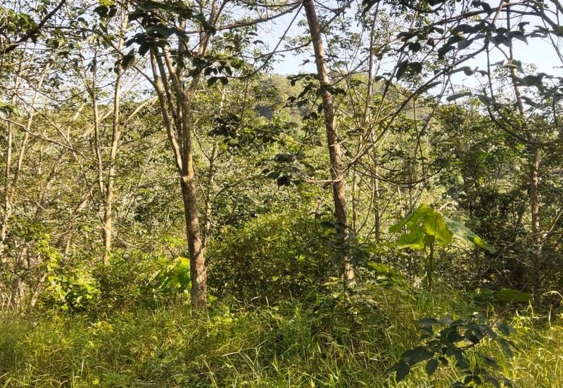 Tanah Untuk Dijual Kota, Rembau