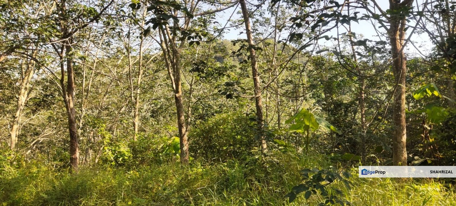 Tanah Untuk Dijual Kota, Rembau, Negeri Sembilan, Rembau