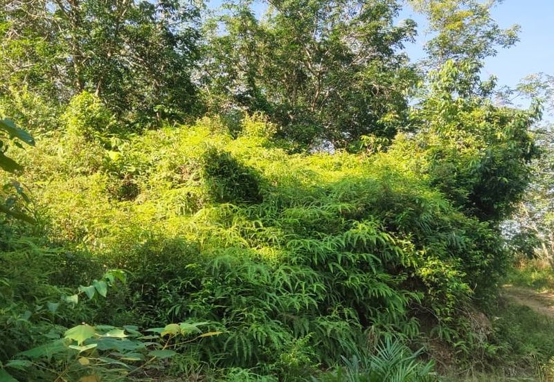 Tanah Untuk Dijual Kota, Rembau