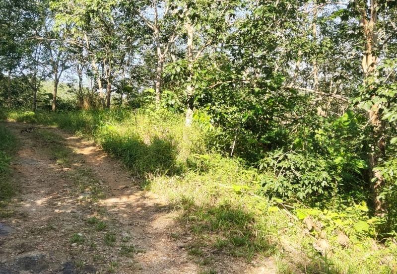 Tanah Untuk Dijual Kota, Rembau