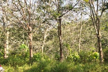 Tanah Untuk Dijual Kota, Rembau