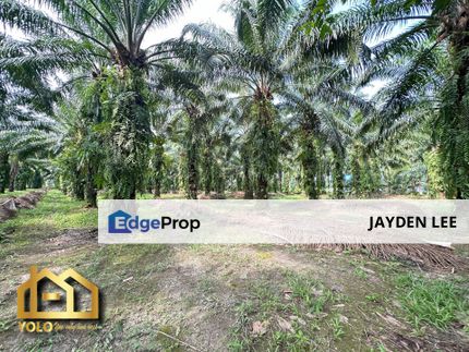 Super Big Land Jenjarom Agricultural land Zoning Industrial 4.15 acre, Selangor, Jenjarom