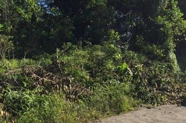 4 Acres Agricultural Land at Sg Buloh