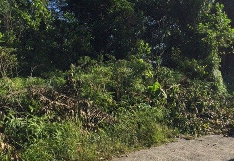 4 Acres Agricultural Land at Sg Buloh