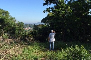 4 Acres Agricultural Land at Sg Buloh