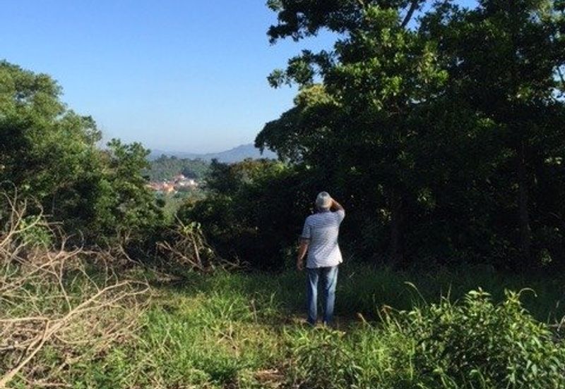 4 Acres Agricultural Land at Sg Buloh