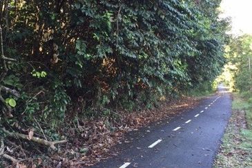 4 Acres Agricultural Land at Sg Buloh