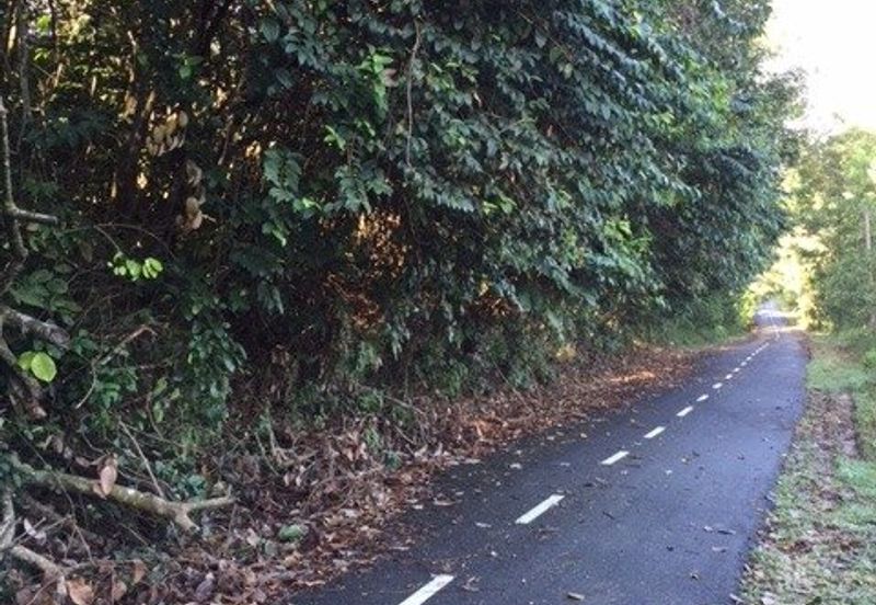 4 Acres Agricultural Land at Sg Buloh