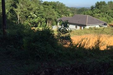 4 Acres Agricultural Land at Sg Buloh